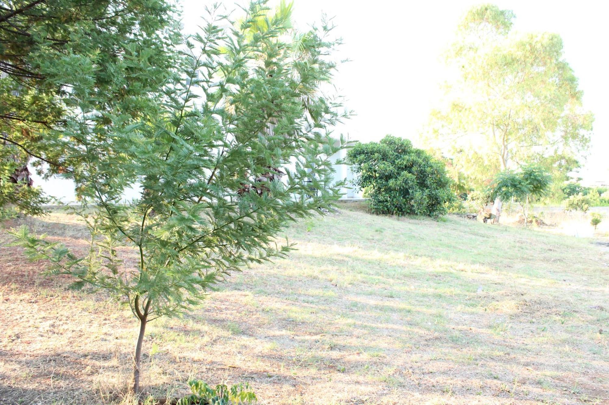 Appartamento Boat Dreams , Garden Relax Matino Esterno foto