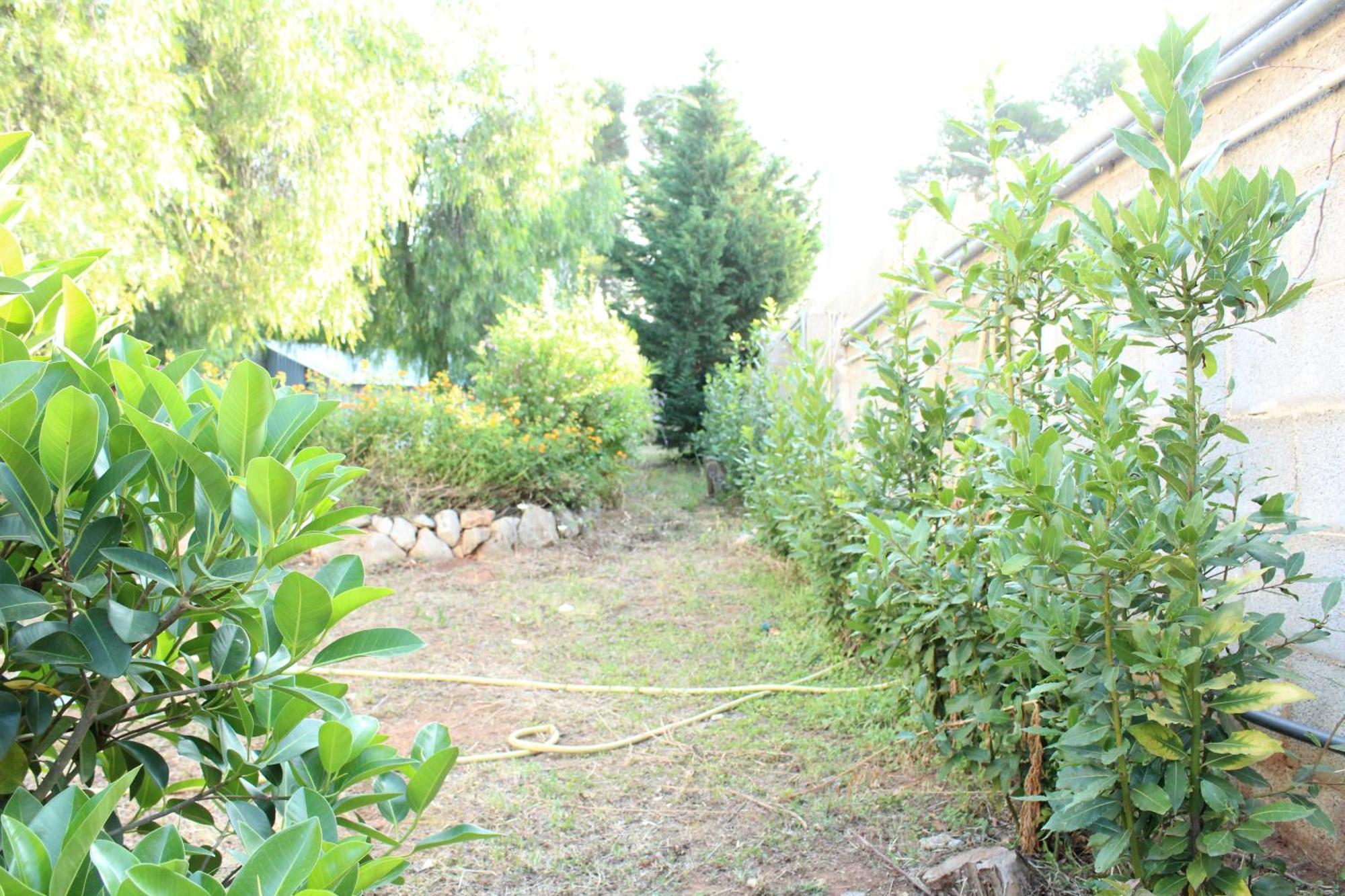 Appartamento Boat Dreams , Garden Relax Matino Esterno foto